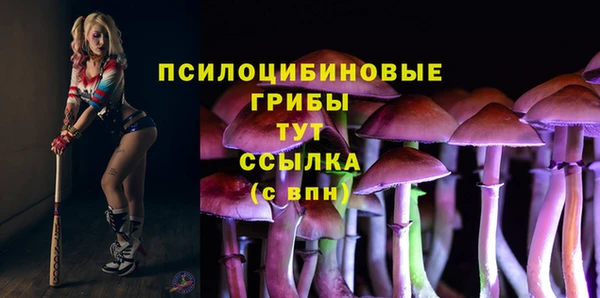 ECSTASY Алексин