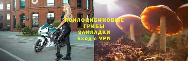 ECSTASY Алексин