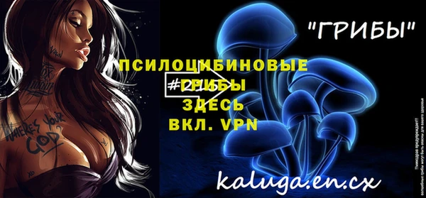хмурый Алексеевка