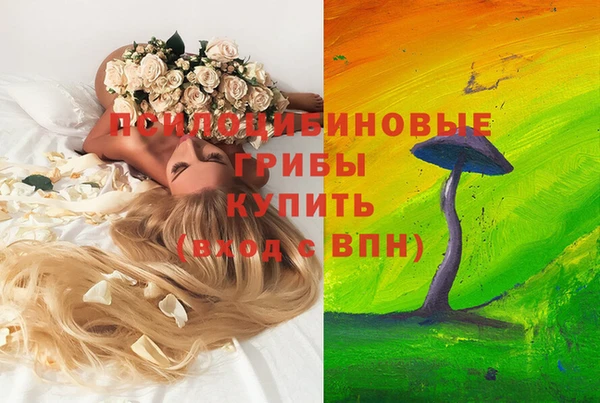 хмурый Алексеевка