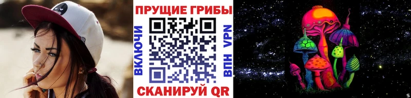 Псилоцибиновые грибы мицелий  кракен зеркало  Муравленко 